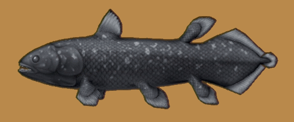 おさかな図鑑 ～シーラカンス～ | ドラクエ10攻略通信